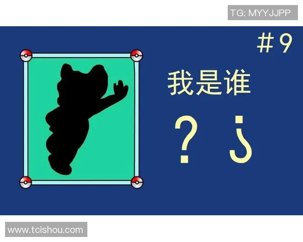 猜猜我是谁球场指挥官！生涯辗转九支球队&两度效力湖人